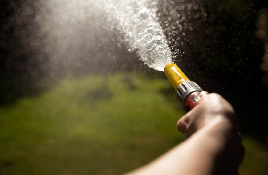 Hosepipe ban: should you snitch on your neighbour’s water use? A philosopher’s take