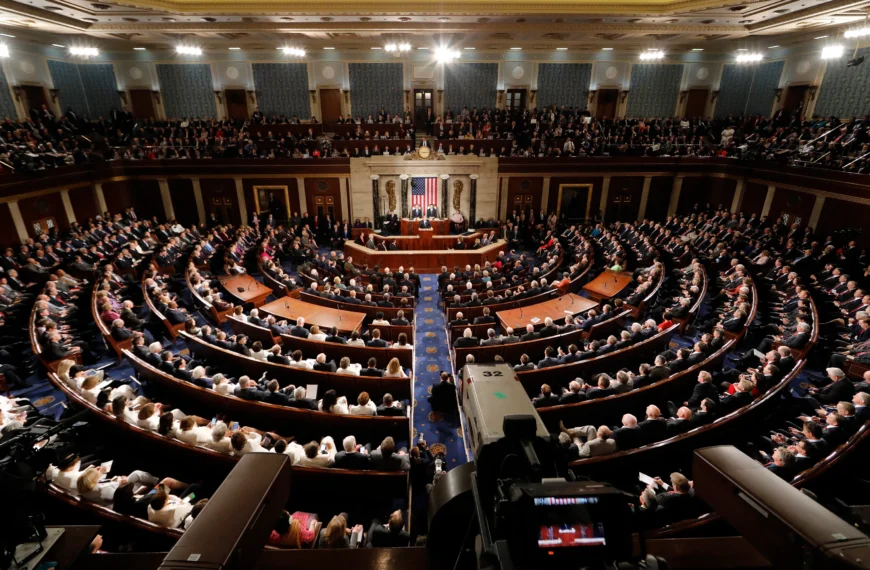 The Structure and Function of the US Congress: A Comprehensive Overview