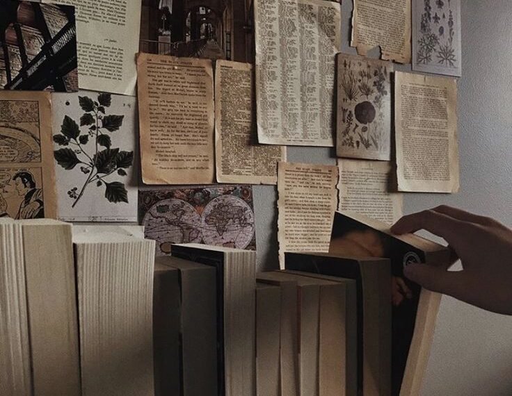 Do you really need to read the classics?