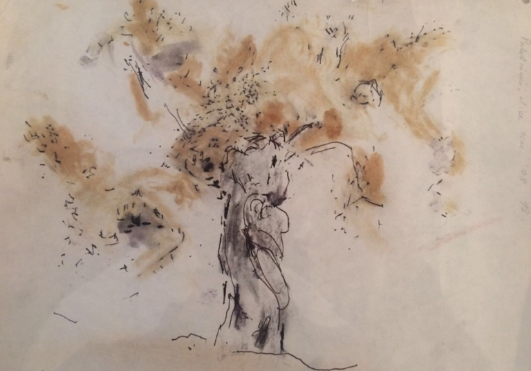 Eco-sumud: Olive Harvests as Resistance in Palestine