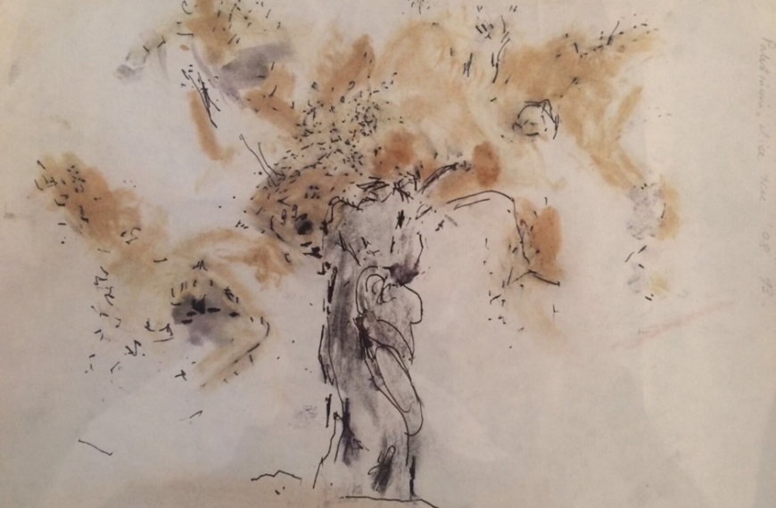 Eco-sumud: Olive Harvests as Resistance in Palestine