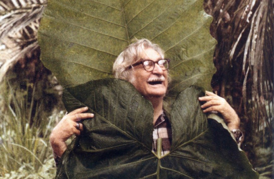Roberto Burle Marx and the Art of the Tropical Garden