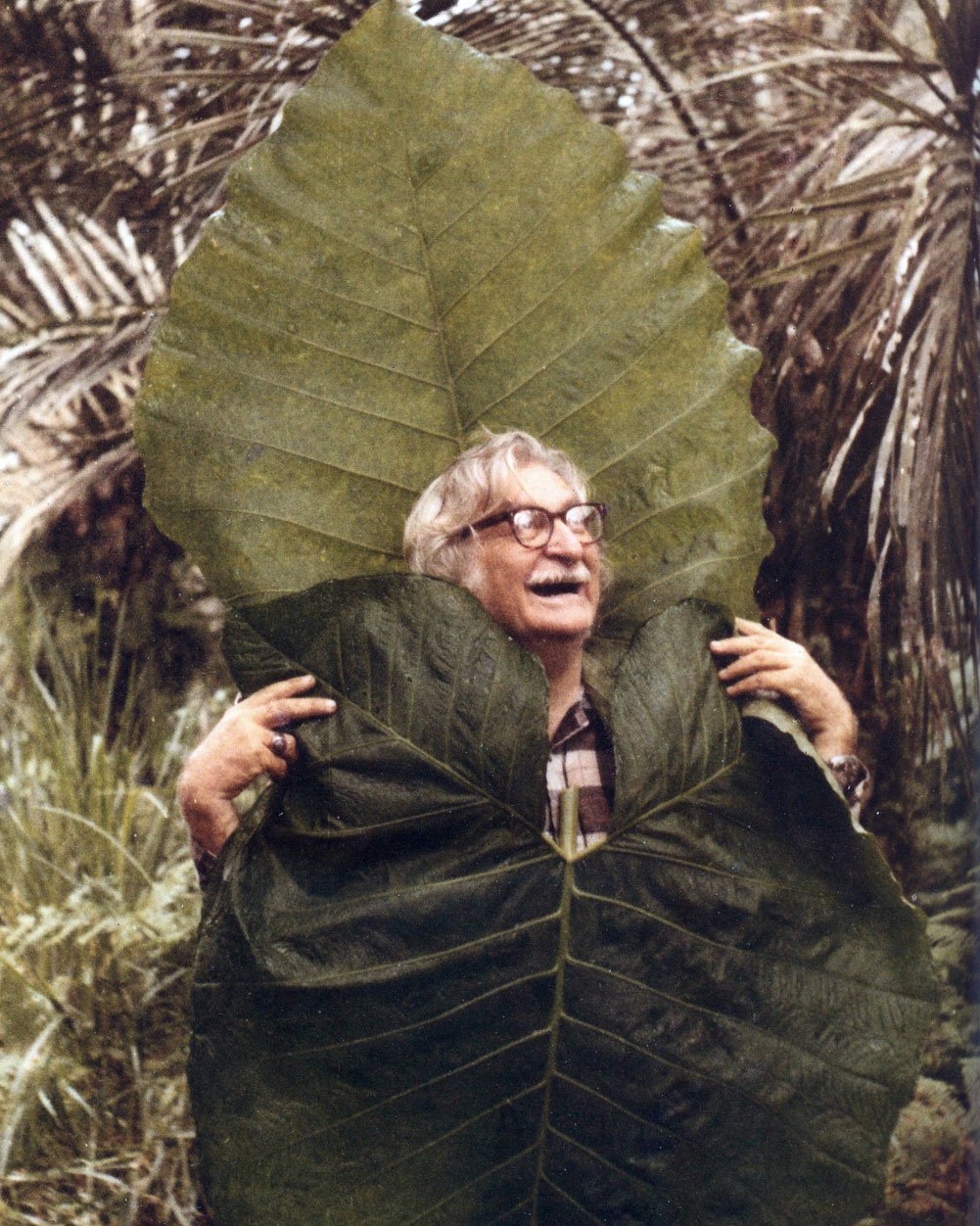 Roberto Burle Marx and the Art of the Tropical Garden