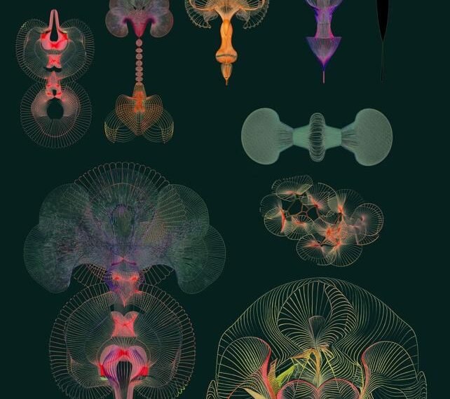 Ideology, Image and Algorithm