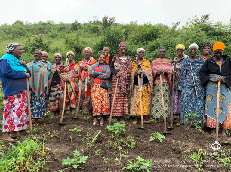 Treesisters — helping restore the living world