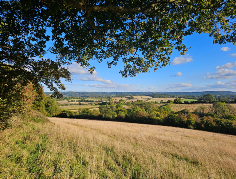 Heal Rewilding — acquiring depleted land to rewild it